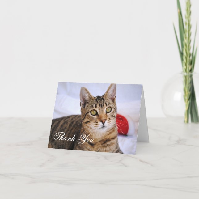 Tabby Cat Thank You Card (Front)