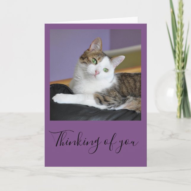 Tabby cat thinking of you card (Front)