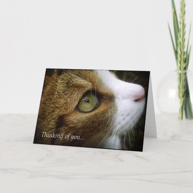 Tabby Cat - Thinking Of You Card (Front)