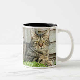 Tabby Cat Two-Tone Coffee Mug