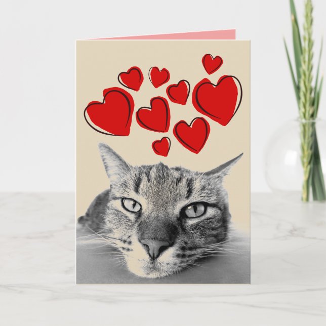 TABBY CAT VALENTINE'S DAY GREETING CARDS (Front)