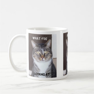 Tabby Cat What you, Looking Coffee Mug