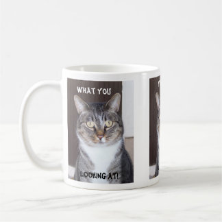 Tabby Cat What you, Looking Coffee Mug