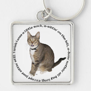 Tabby Cat Wishes Key Ring