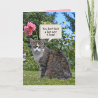 tabby cat with eye glasses birthday