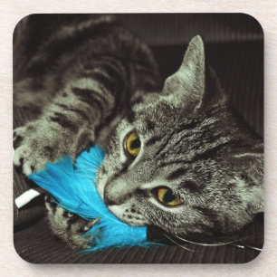 Tabby Cat with Feather by Shirley Taylor Coaster