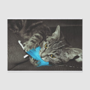 Tabby Cat with Feather by Shirley Taylor Tissue Paper