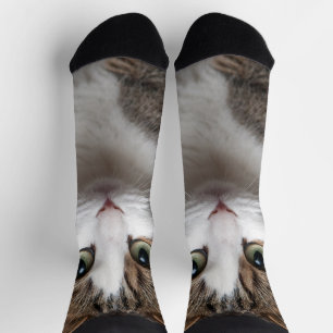 Tabby Cat with Green Eyes against Black Background Socks