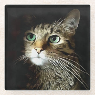 Tabby Cat With Green Eyes Isolated On Black Glass Coaster