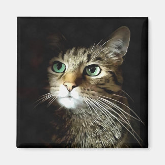 Tabby Cat With Green Eyes Isolated On Black Magnet