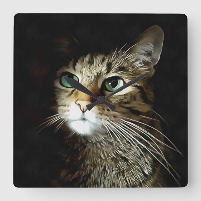 Tabby Cat With Green Eyes Isolated On Black Square Wall Clock (Front)