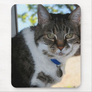 Tabby Cat with Pretty Eyes Mouse Pad