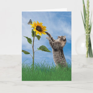 Tabby Cat With Sunflower Birthday Card