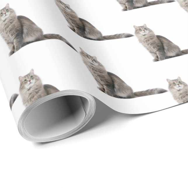 tabby cat wrapping paper (Roll Corner)