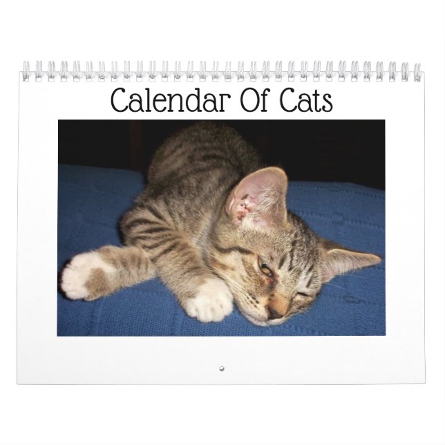 Tabby Cats Calendar (Cover)