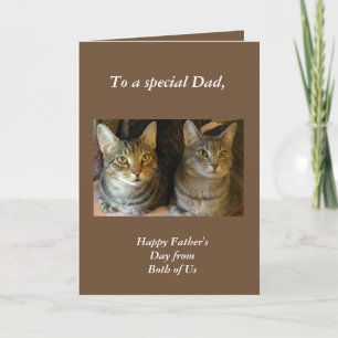Tabby Cats Father's Day Greeting Card