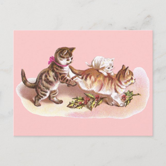 Tabby Cats & Holly Victorian Christmas Holiday Postcard (Front)