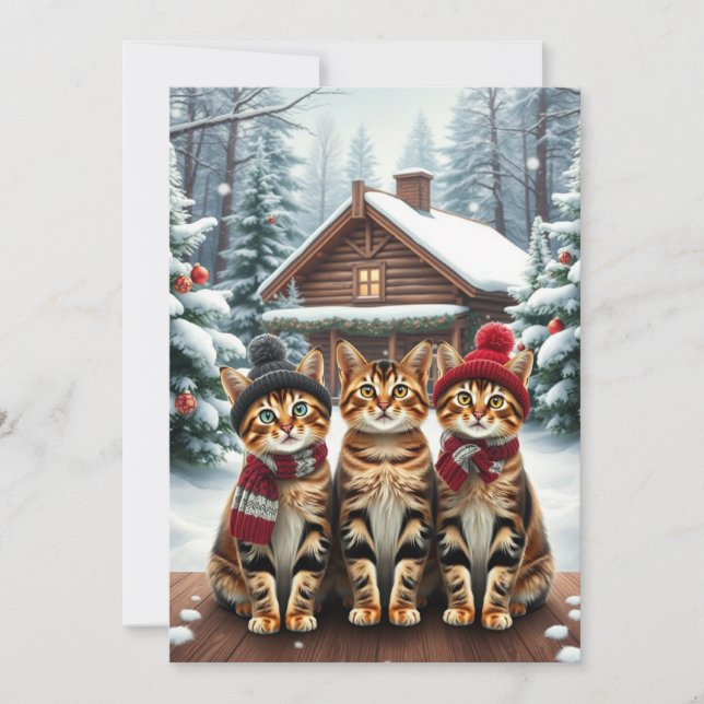 Tabby Cats in Preppy Winter Attire and Hat Winter Holiday Card (Front)