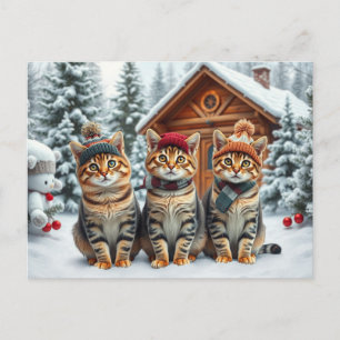 Tabby Cats in Preppy Winter Attire and Hat Winter Holiday Postcard