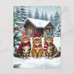 Tabby Cats in Preppy Winter Attire and Hat Winter Holiday Postcard