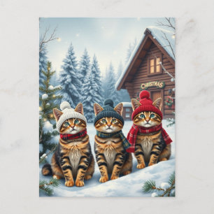 Tabby Cats in Preppy Winter Attire and Hat Winter Holiday Postcard