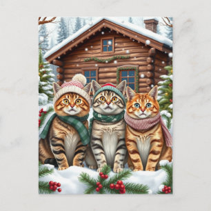 Tabby Cats in Preppy Winter Attire and Hat Winter Holiday Postcard