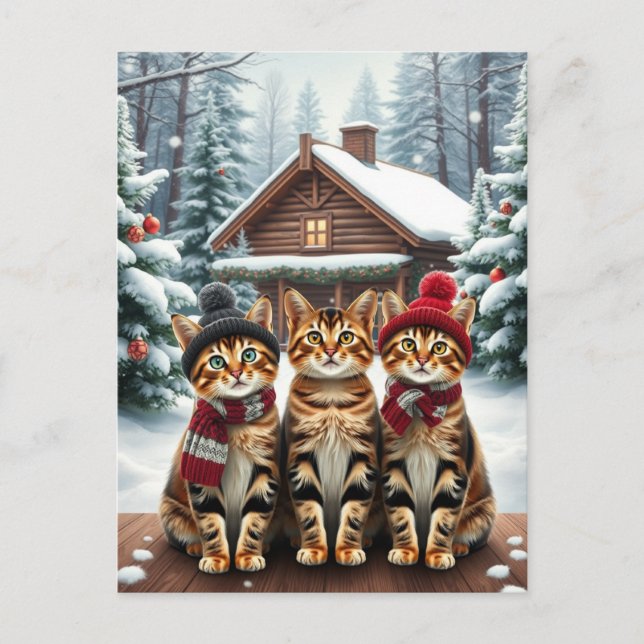Tabby Cats in Preppy Winter Attire and Hat Winter Holiday Postcard (Front)
