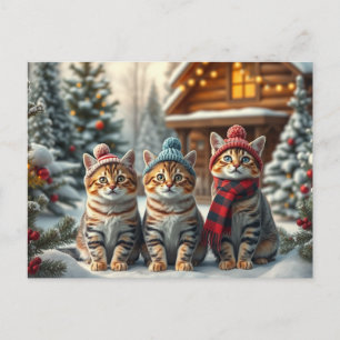 Tabby Cats in Preppy Winter Attire and Hat Winter Holiday Postcard