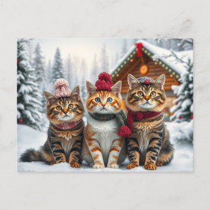 Tabby Cats in Preppy Winter Attire and Hat Winter Holiday Postcard