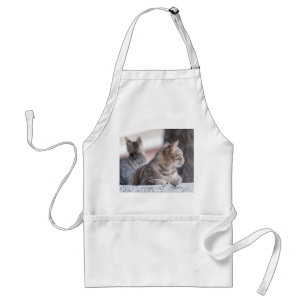 Tabby cats in repose standard apron