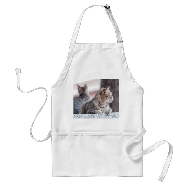 Tabby cats in repose standard apron (Front)
