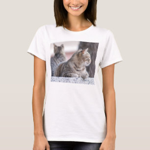 Tabby cats in repose T-Shirt