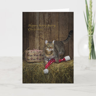 Tabby Christmas card