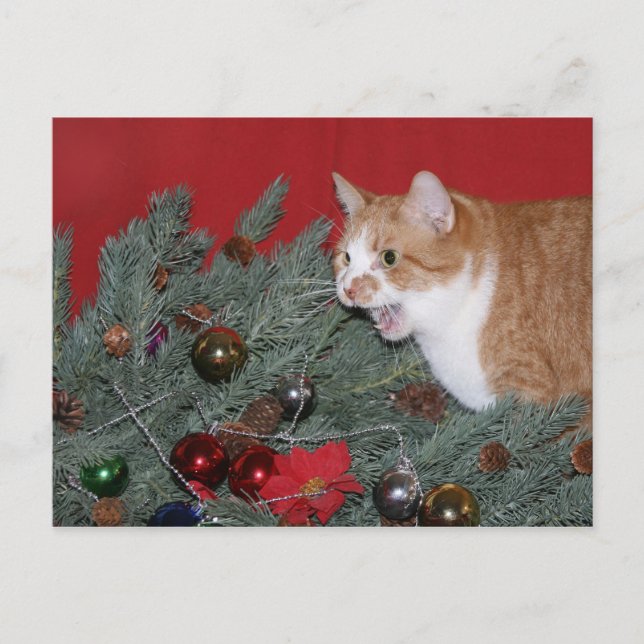 Tabby Christmas tree Holiday Postcard (Front)