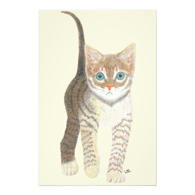 Tabby Kitten 24x36 Poster (Front)