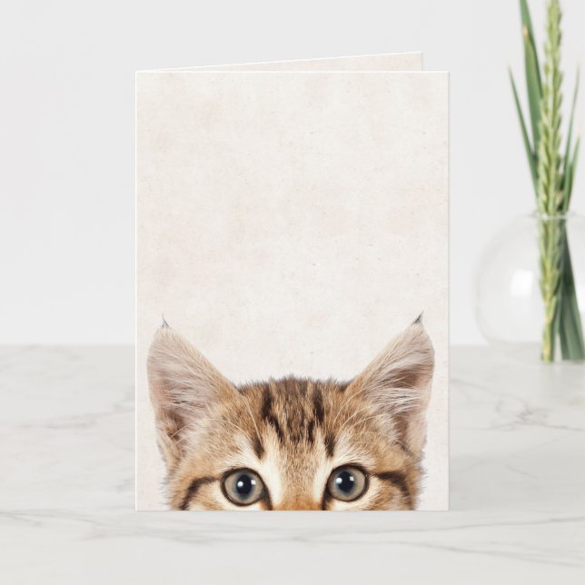 Tabby kitten birthday humour card (Front)