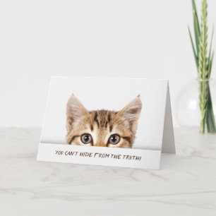 Tabby kitten birthday humour card