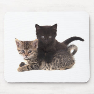 tabby kitten black kitten mouse mat