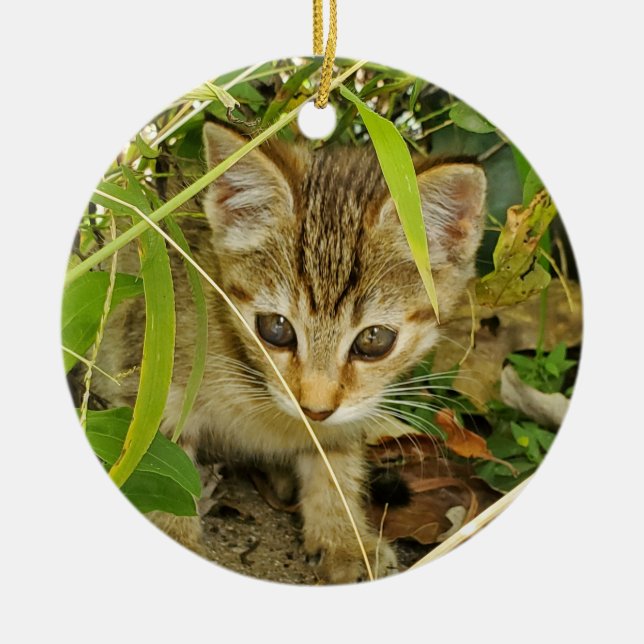 Tabby kitten ceramic tree decoration (Front)