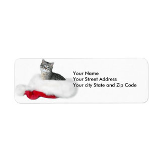 Tabby kitten Christmas