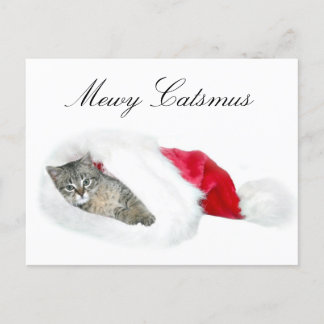 Tabby kitten Christmas Holiday Postcard