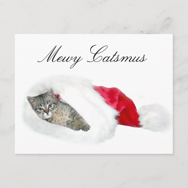 Tabby kitten Christmas Holiday Postcard (Front)