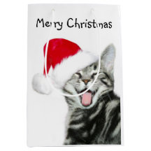 Tabby kitten Christmas