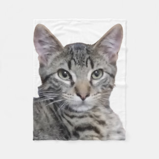 Tabby Kitten Fleece Blanket