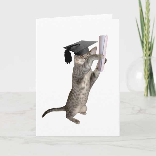 Tabby Kitten Graduation Card (Front)