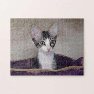 Tabby Kitten in a Purple Bed Jigsaw Puzzle
