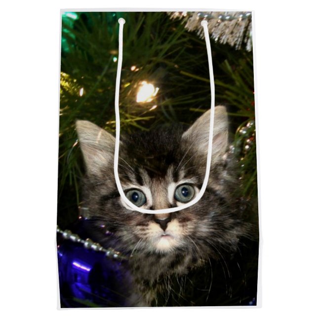 Tabby kitten in Christmas tree Medium Gift Bag (Back)