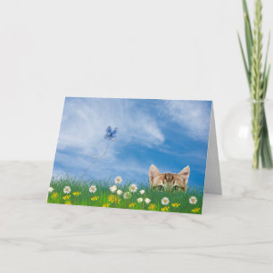 Tabby kitten in grass birthday humour card