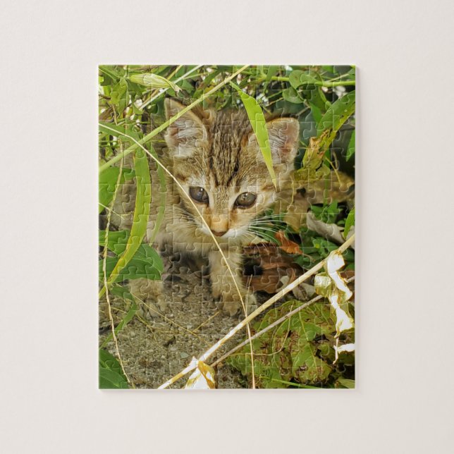 Tabby kitten jigsaw puzzle (Vertical)