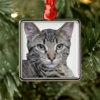 Tabby Kitten Metal Tree Decoration